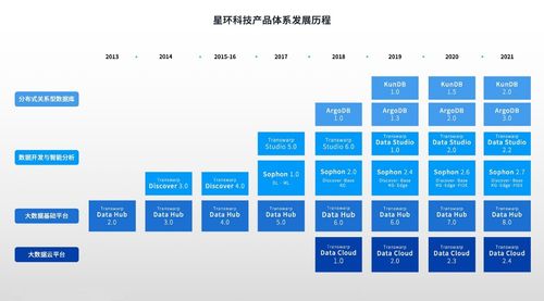 創新驅動未來 從星環科技看基礎軟件技術服務的“組合拳”